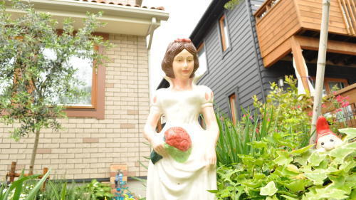 お庭のガーデニングを更に華やかにする白雪姫です。