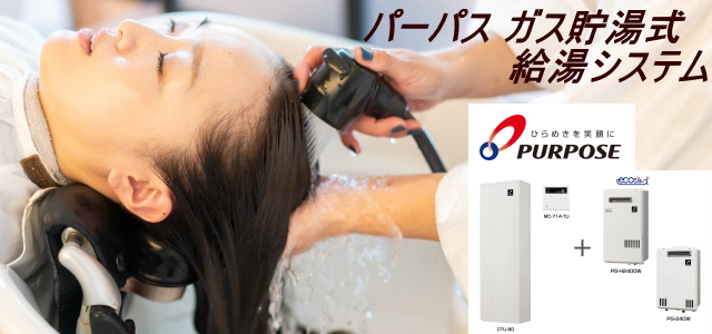 �p�[�p�X�K�X�����������V�X�e��